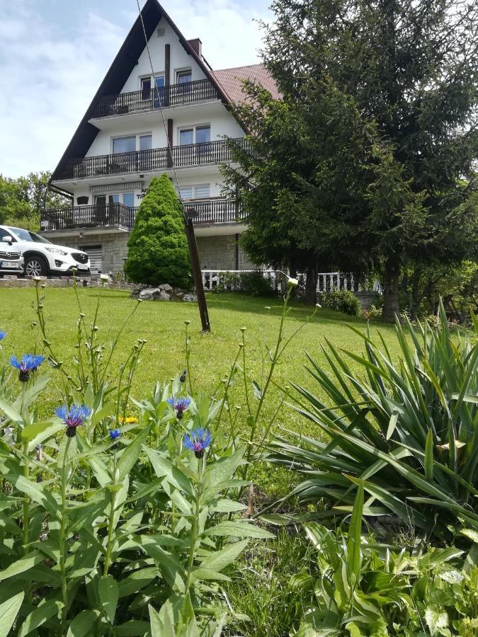 Guest house Tiramisu Szczawnica